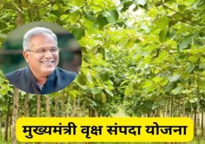 Chief Minister Tree Estate Scheme : सीएम भूपेश बघेल 5 साल में एक लाख एकड़ क्षेत्र में 15 करोड़ पौधे लगाने के लक्ष्य के साथ मुख्यमंत्री वृक्ष संपदा योजना का आज करेंगे शुभारंभ