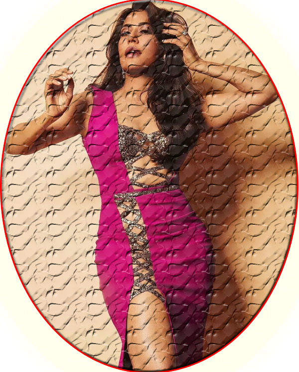 (Actress Chitrangada Singh)