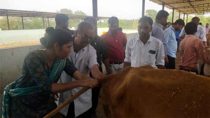 Dhamtari 20 April 2023 : प्रदेश के विभिन्न जिलों के पशु चिकित्सा सहायक शल्यज्ञ के 45 सदस्यों के दल ने किया जिले का शैक्षणिक भ्रमण