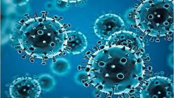 corona virus infection :