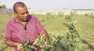 Read more about the article Chief Minister : मुख्यमंत्री की पहल पर छत्तीसगढ़ के युवा किसान कर रहे हैं खेती में नवाचार