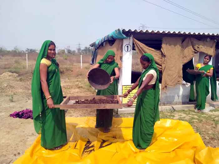 Ambikapur Sarguja Chhattisgarh : गौठानों के माध्यम से पशुओं की देख-रेख के साथ गांवों में जाकर भी जिम्मेदारी उठा रही हैं स्वावलंबी महिलाएं