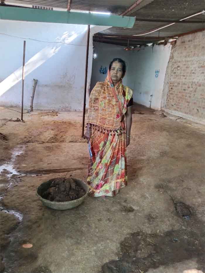 Godhan Nyaya Yojana : शीला जैन ने गोबर बेचकर गोवंश के लिए बनाया पक्का मकान