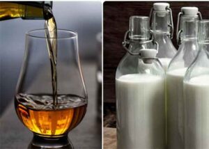 Alcohol In Milk : इस जानवर के दूध में होता है बीयर और व्हिस्की से भी ज्यादा नशा, दो घूंट पीकर हो जाएंगे टन्न