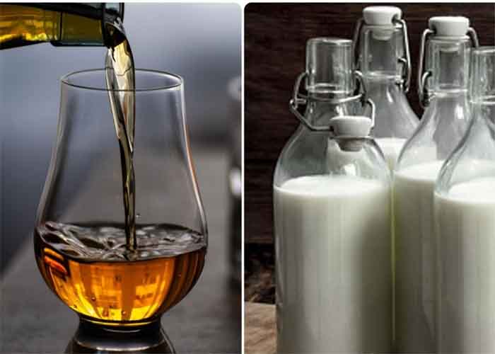 Read more about the article Alcohol In Milk : इस जानवर के दूध में होता है बीयर और व्हिस्की से भी ज्यादा नशा, दो घूंट पीकर हो जाएंगे टन्न