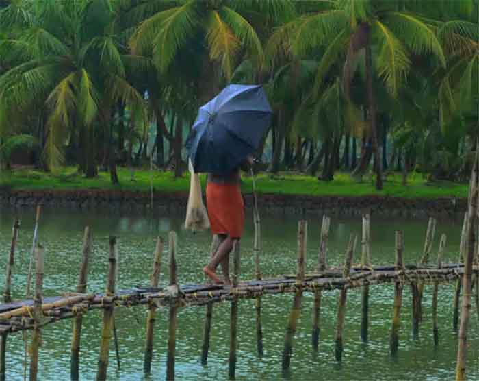 Monsoon in Chhattisgarh : प्रदेश मे कब तक दस्तक देगा मानसून...जानिए