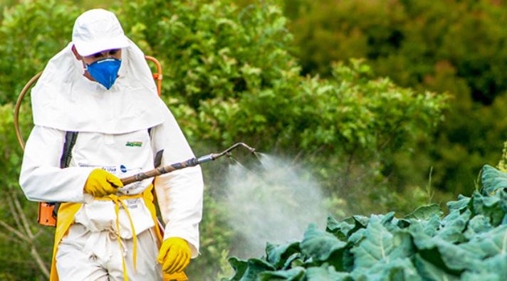You are currently viewing Pesticides मानव के लिये बेहद खतरनाक और जानलेवा साबित हो रहा है पेस्टीसाइड्स