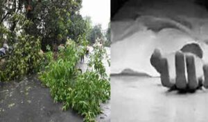 Jammu and Kashmir के किश्तवाड़ में पेड़ गिरने से घुमंतू परिवार के चार सदस्यों की मौत