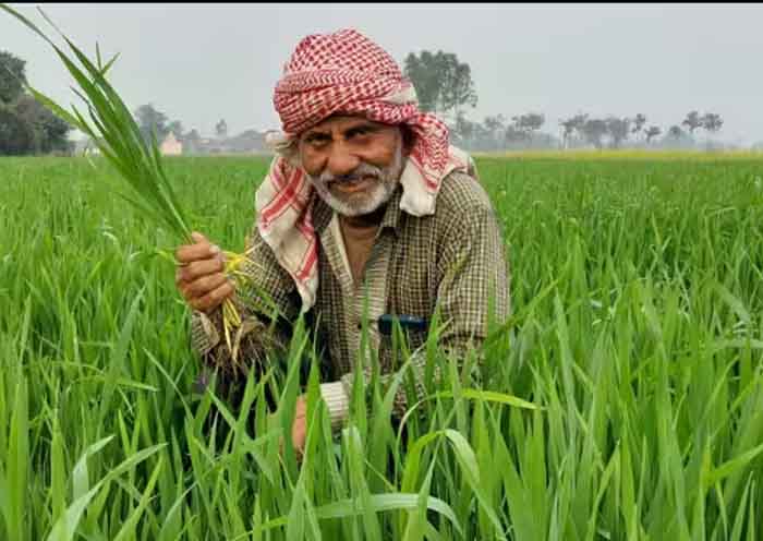 Pradhan Mantri Fasal Bima Yojana : अब किसानों की होगी चांदी...पढ़े पूरी खबर