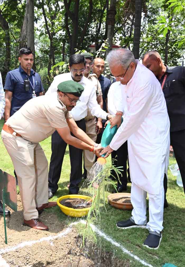 World Environment Day 2023 : मुख्यमंत्री भूपेश बघेल ने विश्व पर्यावरण दिवस के अवसर पर अपने निवास परिसर में आंवला का पौधा रोपा