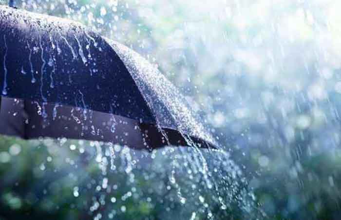 Dhamtari 28 June 2023 : जिले में अब तक 209.9 मिलीमीटर औसत वर्षा