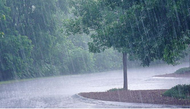 Dhamtari District : धमतरी जिले में अब तक 163 मि.मी. औसत वर्षा दर्ज