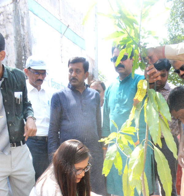 World Environment Day जनप्रतिनिधियों, कलेक्टर एवं एस पी ने फलदार पौधे लगाकर किया वृक्षारोपण अभियान की शुरूआत