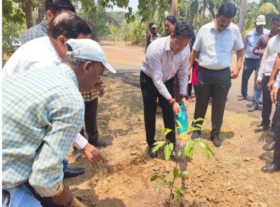 Dhamtari Collector पॉलिटेक्निक परिसर में किया गया वृक्षारोपण, कलेक्टर ने लगाया मौलश्री का पौधा