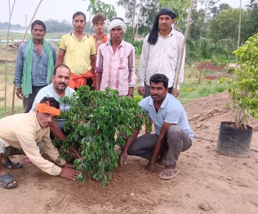 Plantation : विश्व पर्यावरण दिवस पर किसान नेता ने रोपे पौधे