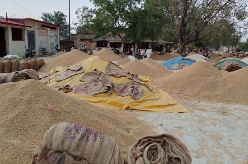 Breaking Bhatapara Market : टूटती आवक के बावजूद मोटा और बारीक धान में मजबूती, अब नीचे जाने लगे दलहन में अरहर और बटरी के दाम 