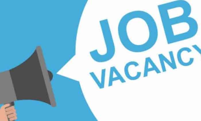 Job Vacancy : यहाँ निकली 1000 से अधिक पदों पर नौकरियां...देखे आवेदन प्रक्रिया और पूरी डिटेल