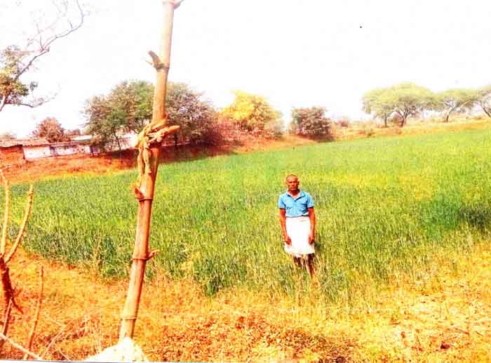 Chhattisgarh Raipur News : शासन की योजनाओं का लाभ लेकर कम लागत में किसान कर रहे फसलों की अच्छी पैदावार