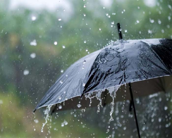 Chhattisgarh weather today 17 july : छत्तीसगढ़ में मॉनसून द्रोणिका एक्टिव, अगले 24 घंटों में उत्तर और मध्य छत्तीसगढ़ में तेज बारिश की संभावना