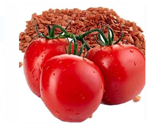 Tomato seeds :