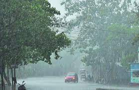 Monsoon active again in Madhya Pradesh, orange alert for heavy rains in 10 districts