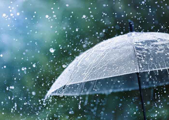 Average Rainfall Chhattisgarh : छत्तीसगढ़ में अब तक 617.6 मि.मी. औसत वर्षा दर्ज