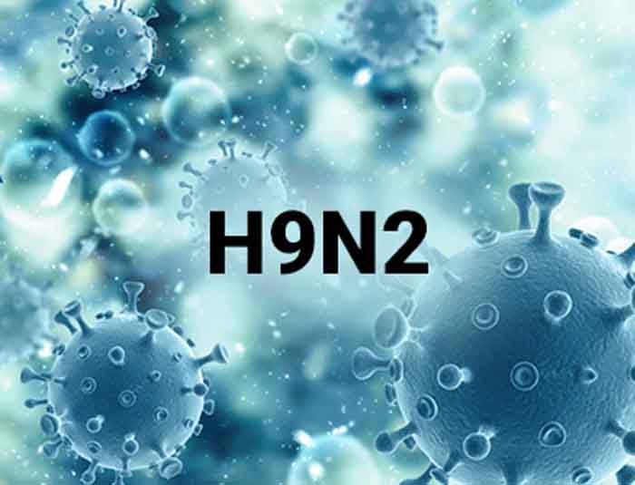H9N2 virus : चीन ने फिर बढ़ाई भारत समेत दुनिया की टेंशन...