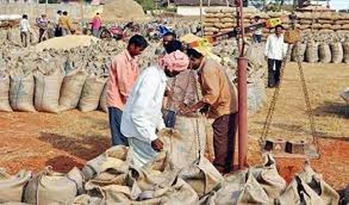 Chhattisgarh Dhan Kharidi : प्रदेश में कल तक 6.32 लाख मैट्रिक टन धान की खरीदी...