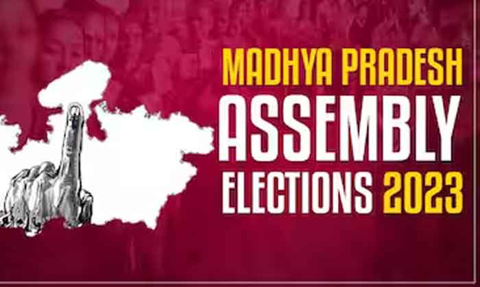 MP assembly election 2023 voting