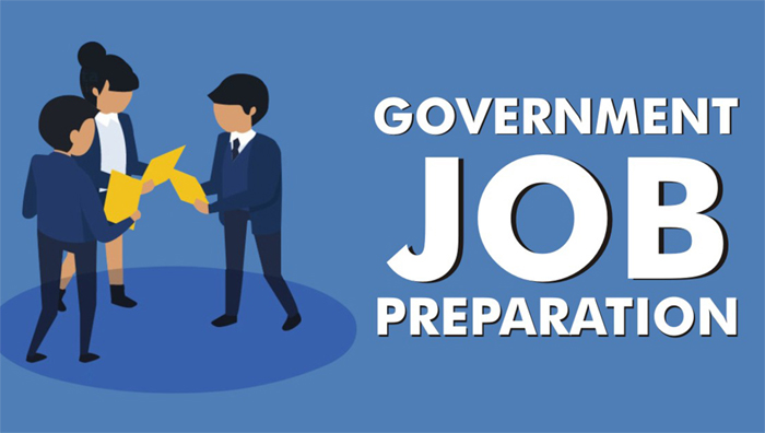 Government Job