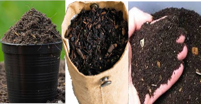Organic Fertilizer From Dry Leaves