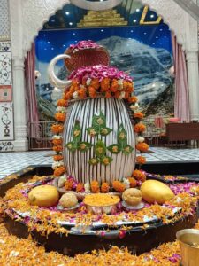 Shri Kashi Vishwanath : सायंकालीन आरती श्रृंगार श्री काशी विश्वनाथ महादेव मंदिर, देखिये VIDEO