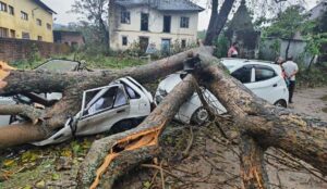 Tourist city manali मनाली में तूफान का तांडव , देवदार का पेड़ गिरने से मची तबाही , 10 वाहन क्षतिग्रस्त, एक व्यक्ति घायल