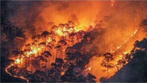 Uttarakhand पहाड़ों पर नहीं थम रहा आग का तांडव : 1107 हेक्टेयर से ज्यादा वन प्रभावित
