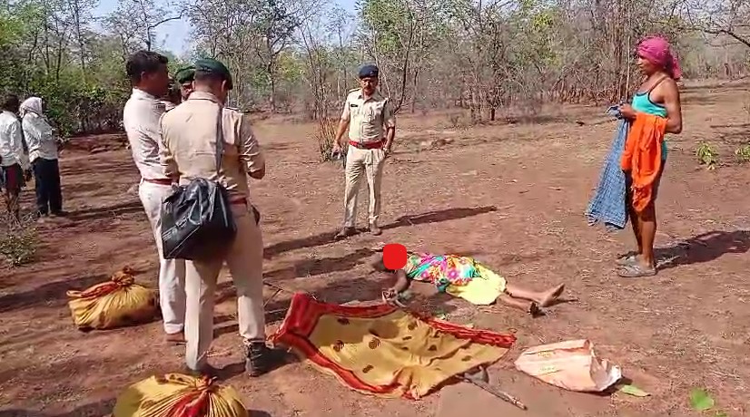 CG News: तेंदुपत्ता तोड़ने गयी महिला को हाथी ने कुचला…