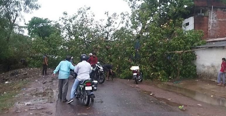तेज आंधी और बारिश ने पन्ना जिले में मचाई तबाही