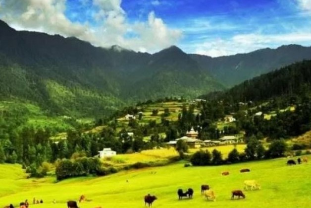 Shangarh Valley : भारत का दूसरा मिनी स्विट्जरलैंड है 'शांघड़', एक बार जाएं जरूर...