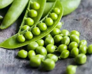 Benefits Of Eating Green Peas : ताजी हरी मटर खाने से होंगे कई हैरान कर देने वाले स्वास्थ्य लाभ, सर्दियों में जरूर करें सेवन