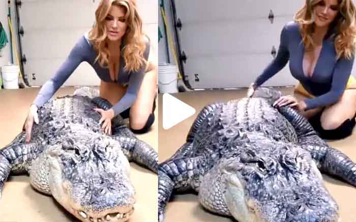 Crocodile Massage : इस लड़की ने एक विशालकाय मगरमच्छ की मालिश कर सभी के होश उड़ा दिए