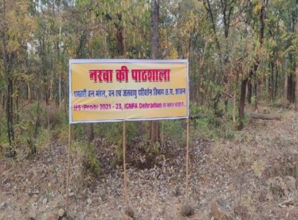 (Indian Forest Service)