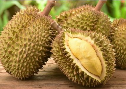 (Durian fruit)